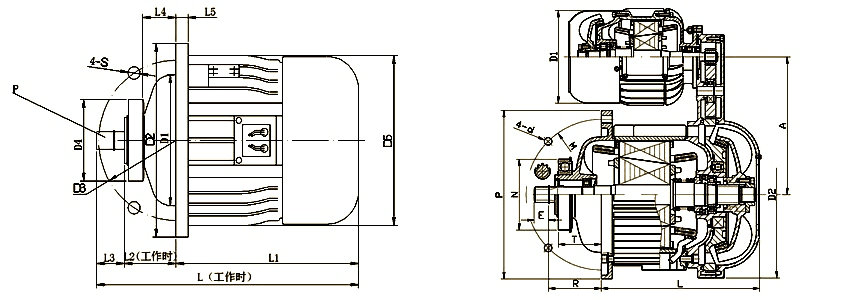 zd Dimensions
